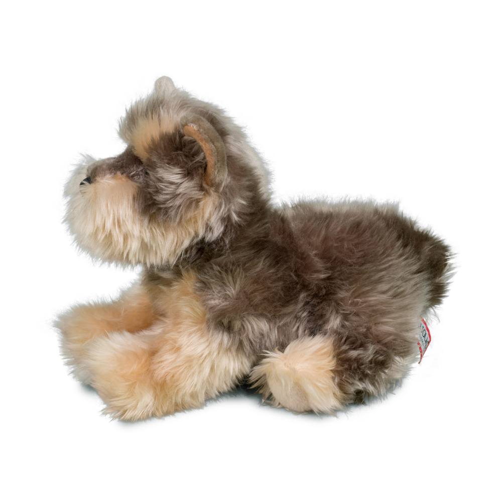 Yettie Yorkie    