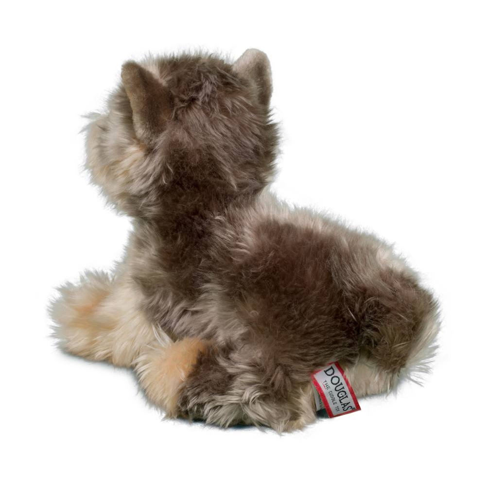Yettie Yorkie    