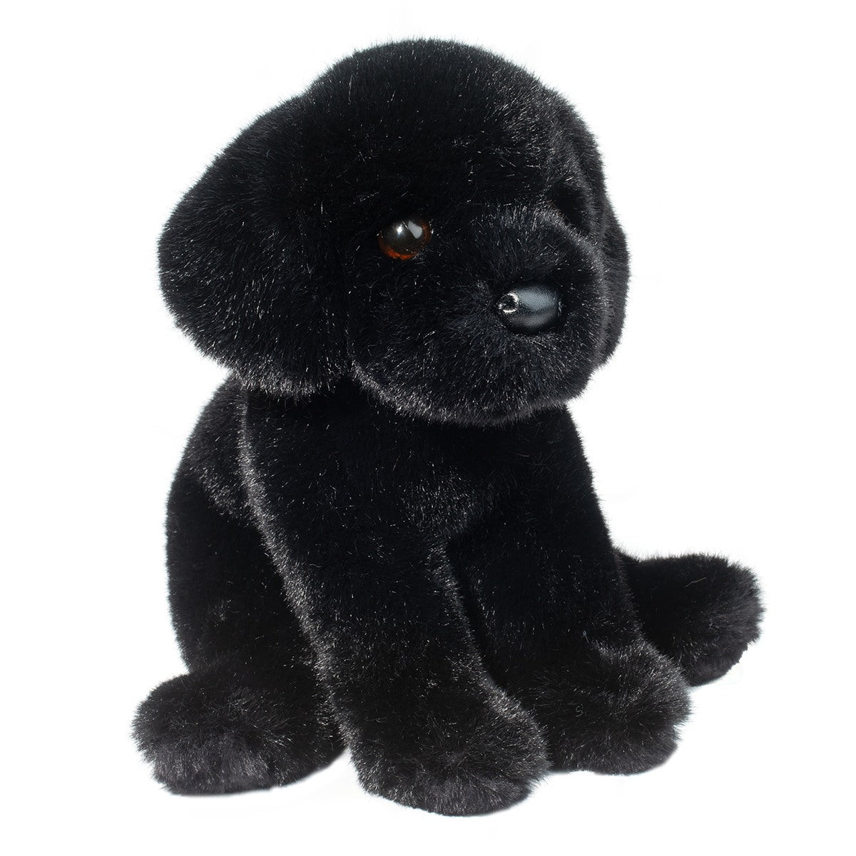 Ford Black Lab