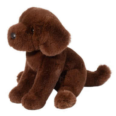 Zoom Chocolate Lab