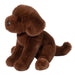 Zoom Chocolate Lab