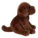 Zoom Chocolate Lab