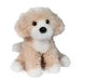 Darcy Golden Doodle