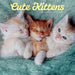 GRPH Cute Kittens 2027 Wall Calendar