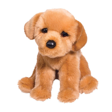 Felix Golden Retriever    
