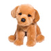 Felix Golden Retriever    