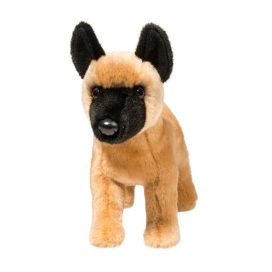 Klaus Belgian Malinois