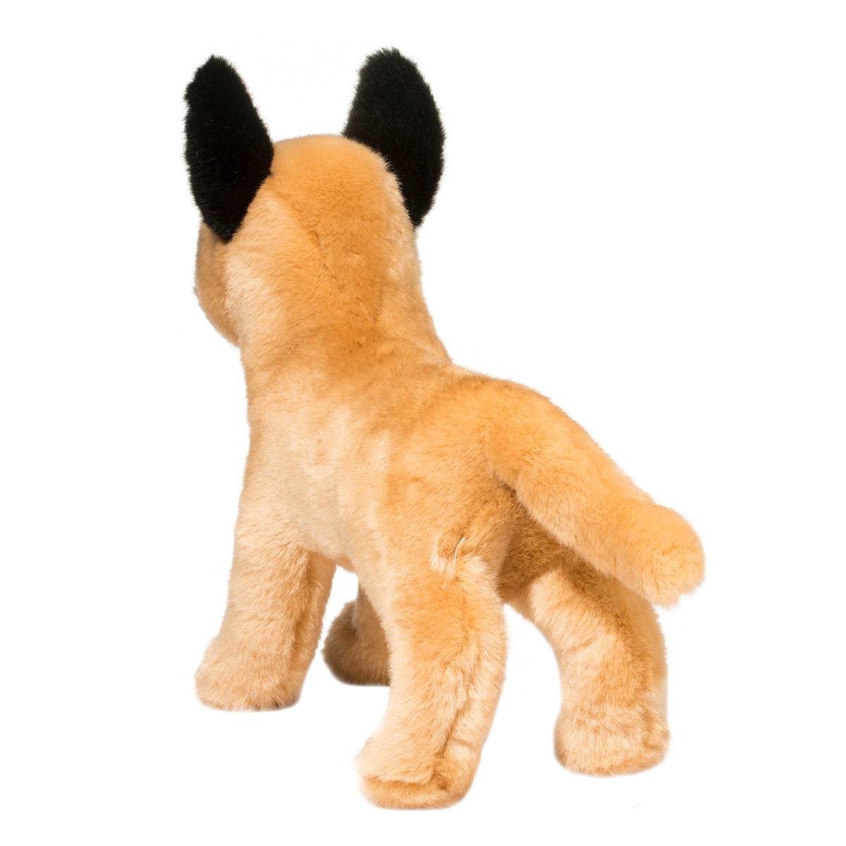 Klaus Belgian Malinois