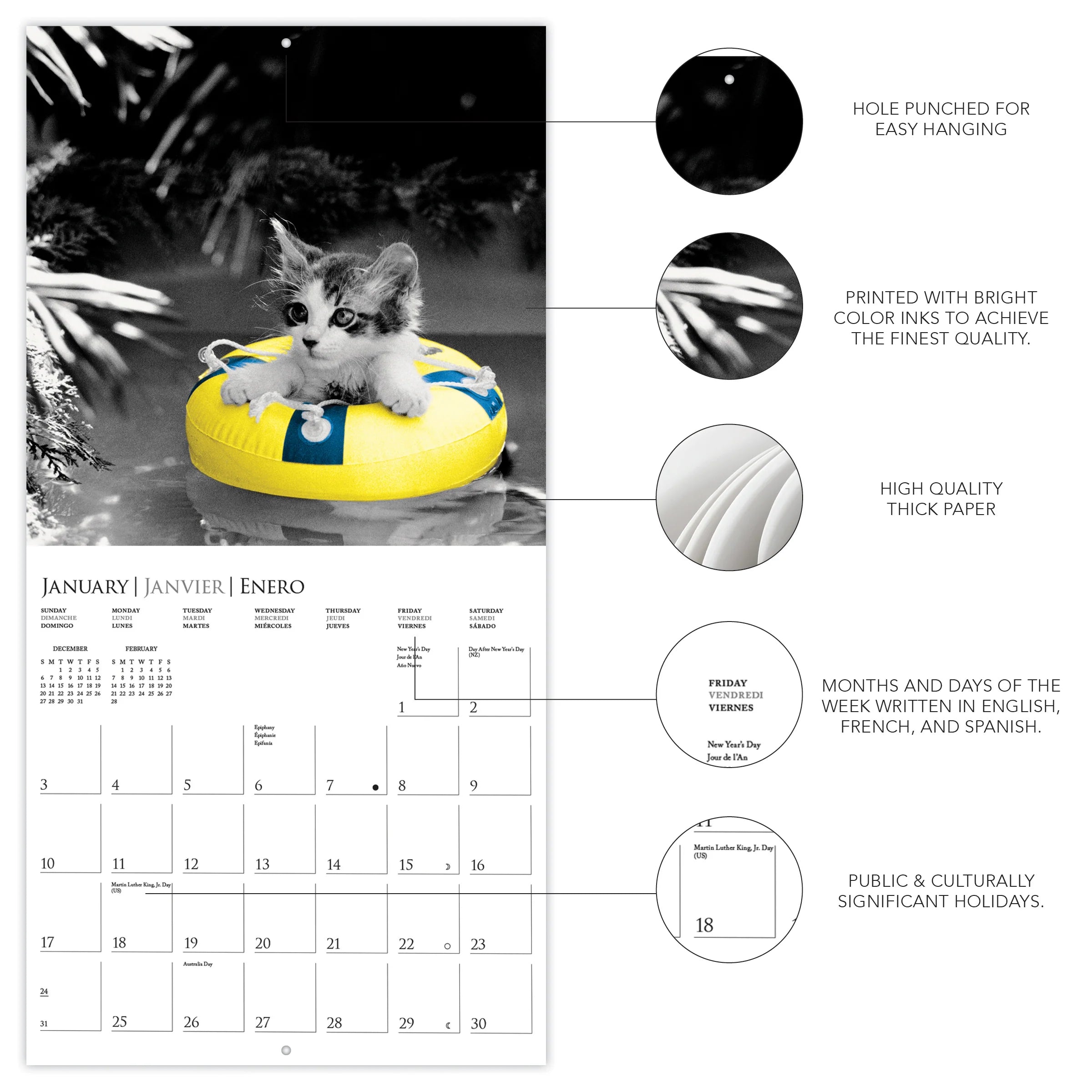 GRPH Classic Cats 2027 Wall Calendar