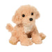 Noodle Golden Doodle