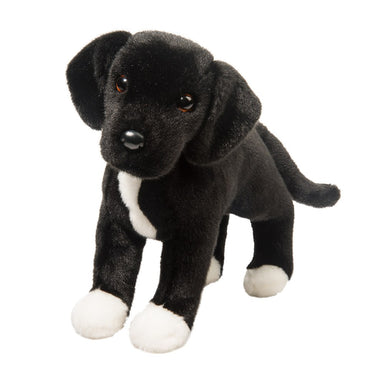 Twister Black Pit-Lab Mix