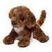 Darby Doodle Dog
