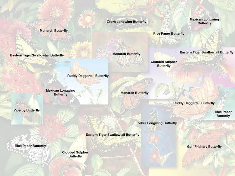 Butterfly Garden 500 Piece Puzzle