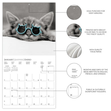 Classic Cats 2027 Mini Wall Calendar