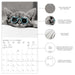 GRPH Classic Cats 2027 Mini Wall Calendar
