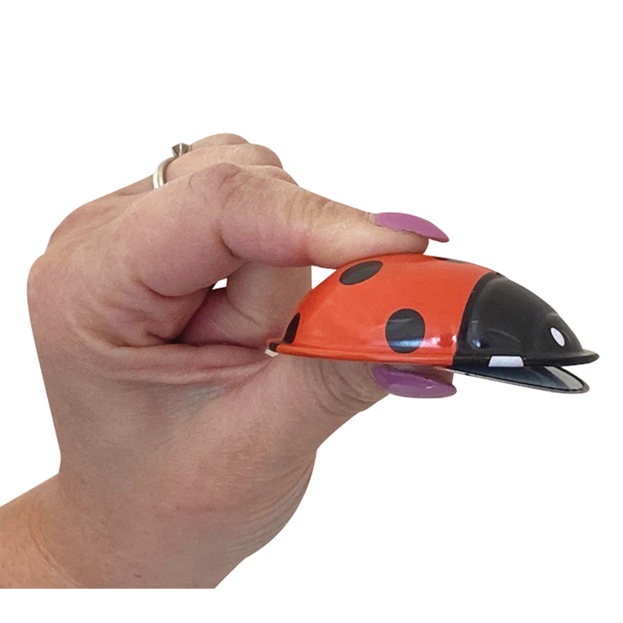 Click Clack Ladybug