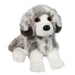 Skylar Australian Shepherd