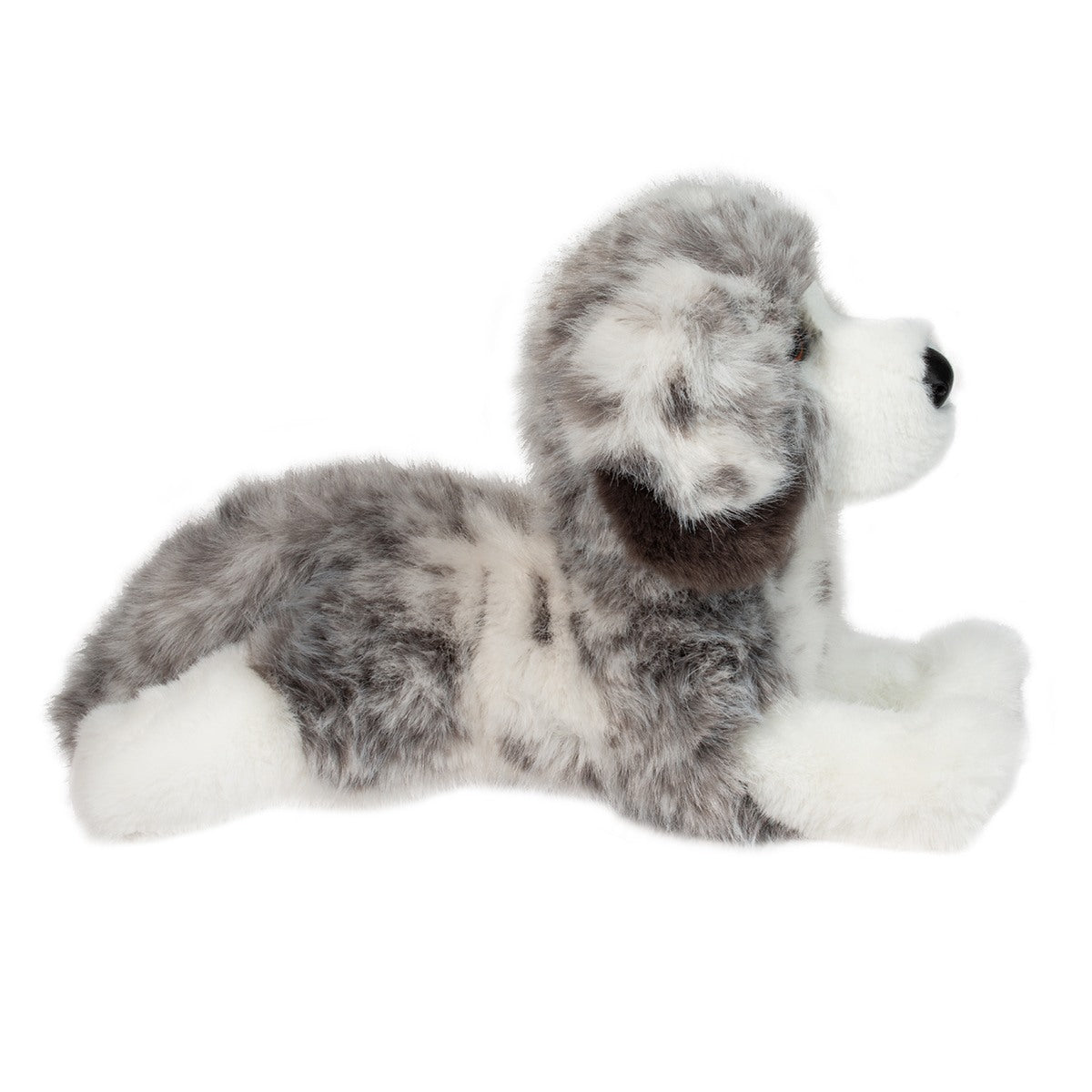 Skylar Australian Shepherd