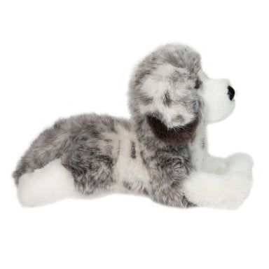 Skylar Australian Shepherd