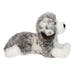 Skylar Australian Shepherd