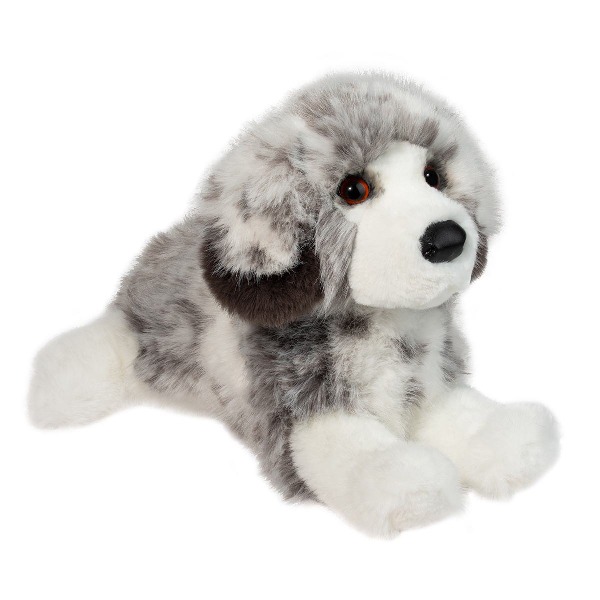Skylar Australian Shepherd