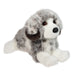 Skylar Australian Shepherd