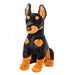 Maverick Doberman