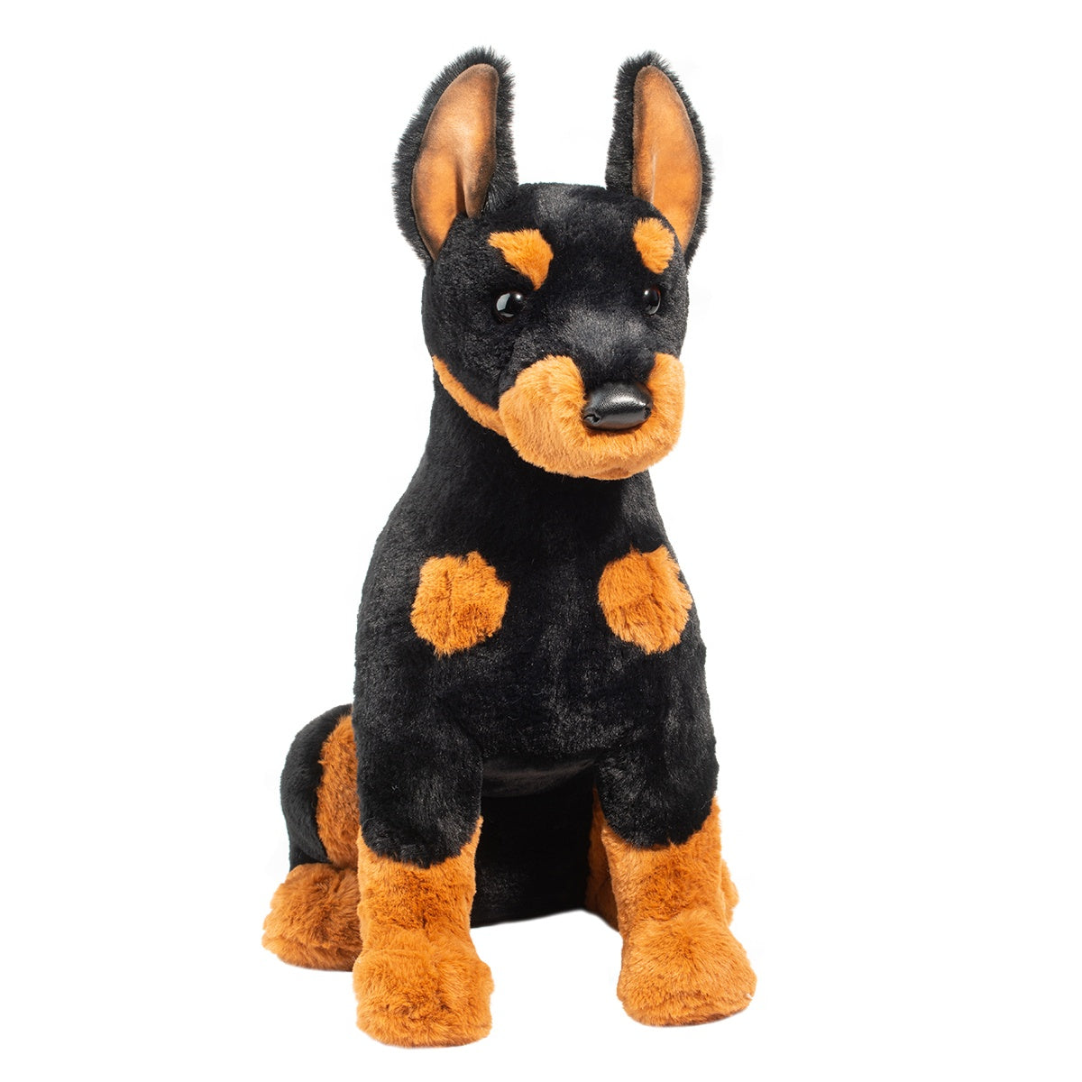 Maverick Doberman