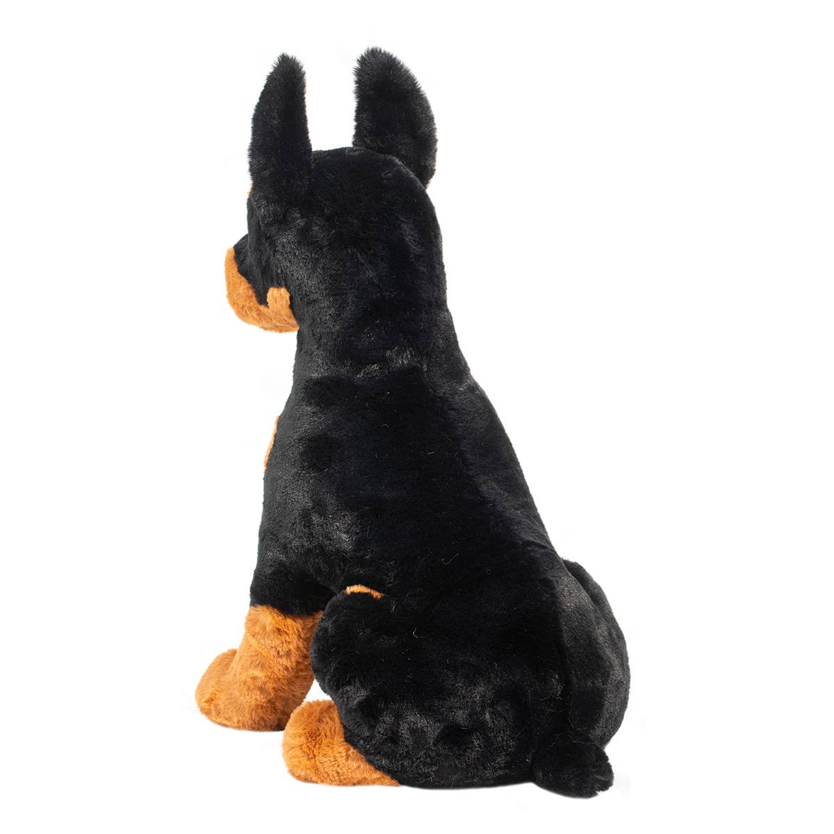 Maverick Doberman