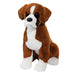 Chance Boxer Dog