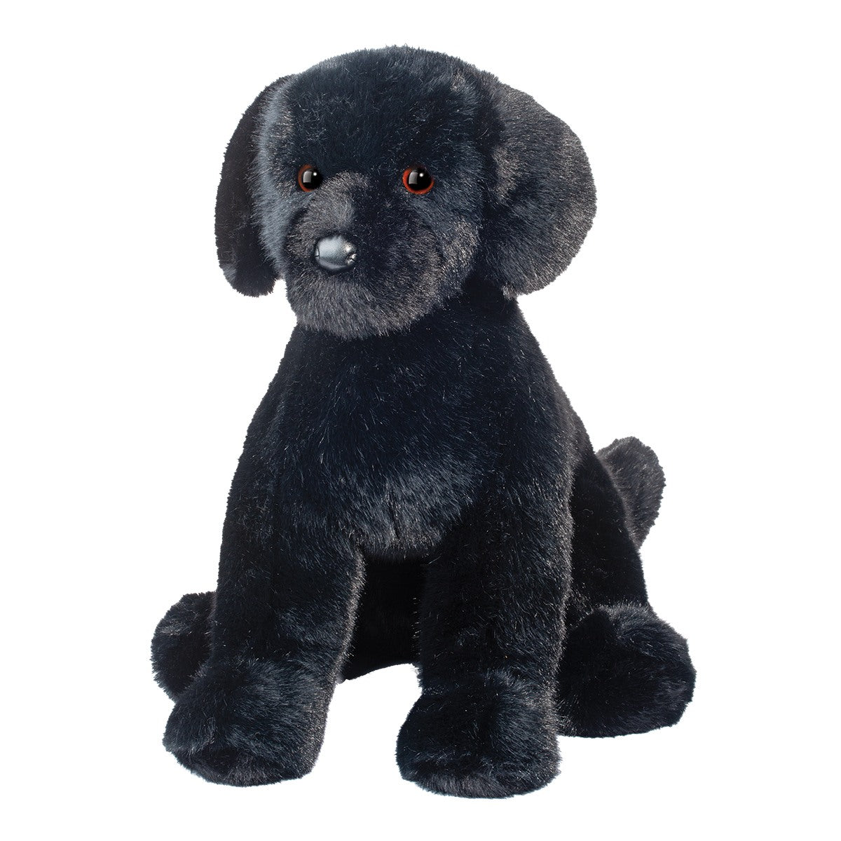 Spruce Black Lab