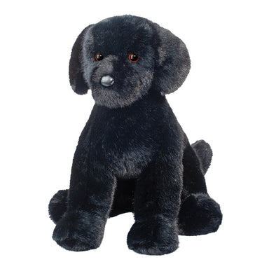 Spruce Black Lab