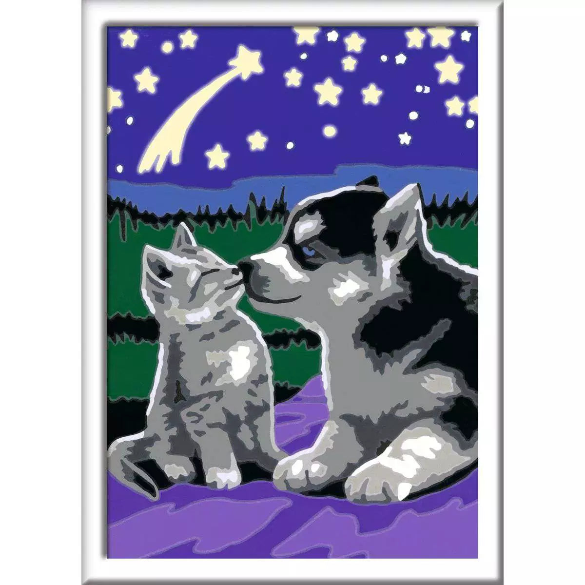 RAV CreArt Moonlight Friends Paint-By-Number