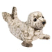 Crew The Seal
