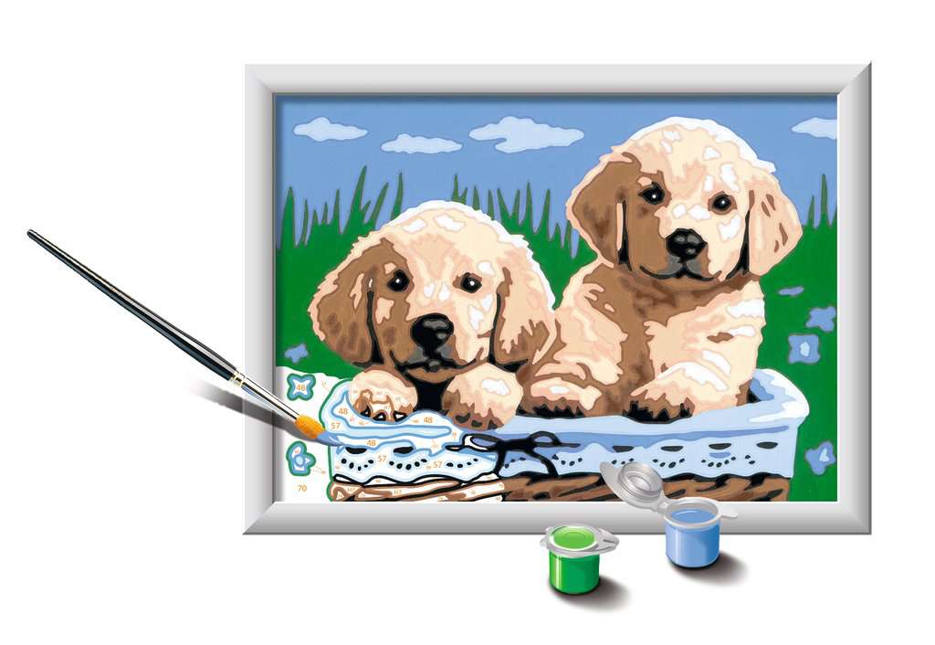 CreArt Cute Puppies Paint By Number Kit    