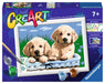 CreArt Cute Puppies Paint By Number Kit    