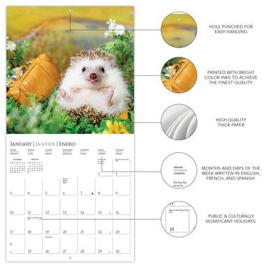 The Happiest Hedgehogs 2027 Mini Wall Calendar