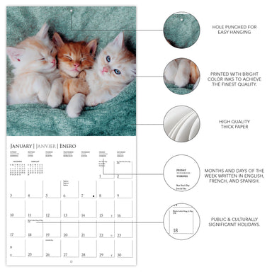 Cute Kittens 2027 Wall Calendar