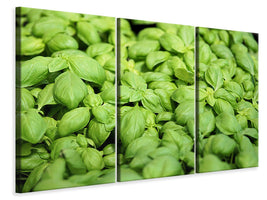 3-piece-canvas-print-all-basil