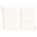 PTR 2027 Smarty Cats Weekly Planner