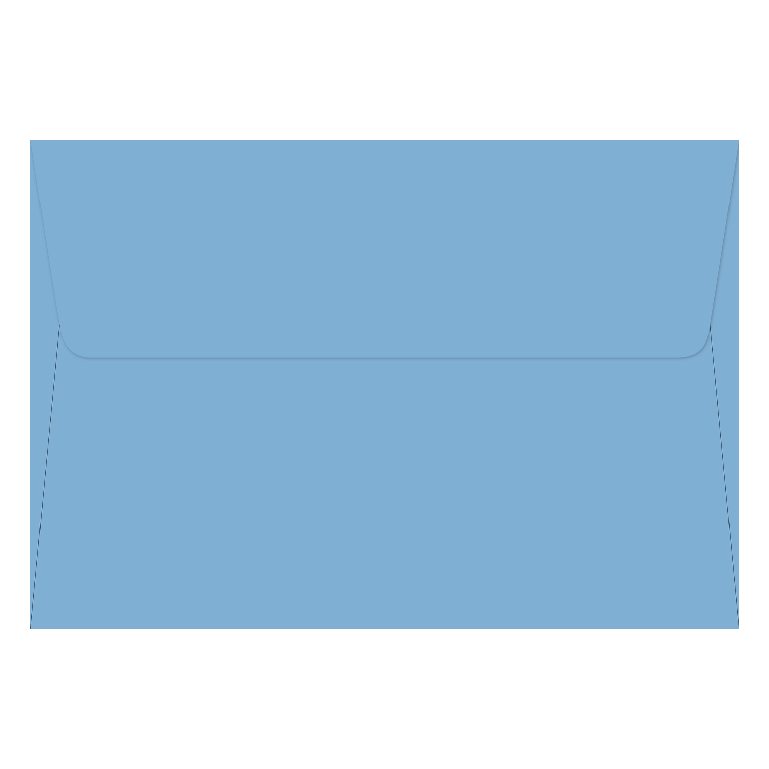 PTR Daisies Note Cards
