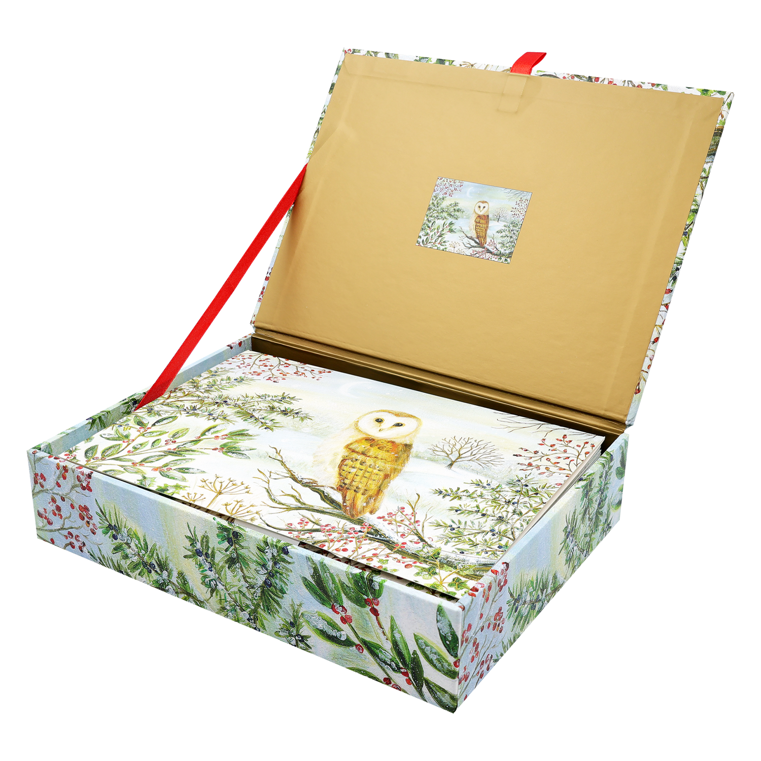PTR Barn Owl in Winter Deluxe Boxed Holiday Cards