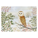 PTR Barn Owl in Winter Deluxe Boxed Holiday Cards