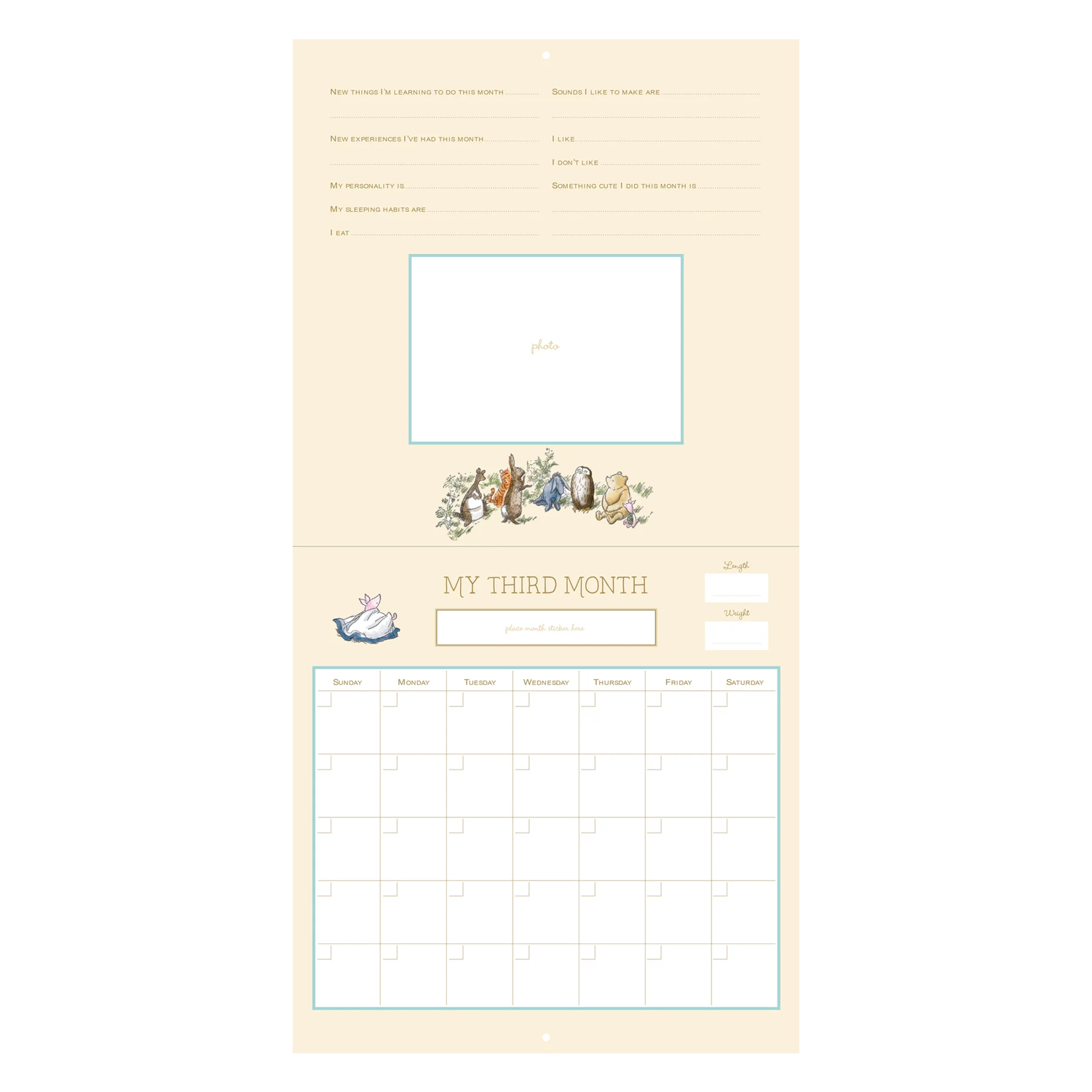 PTR Winnie-the-Pooh First Year Calendar