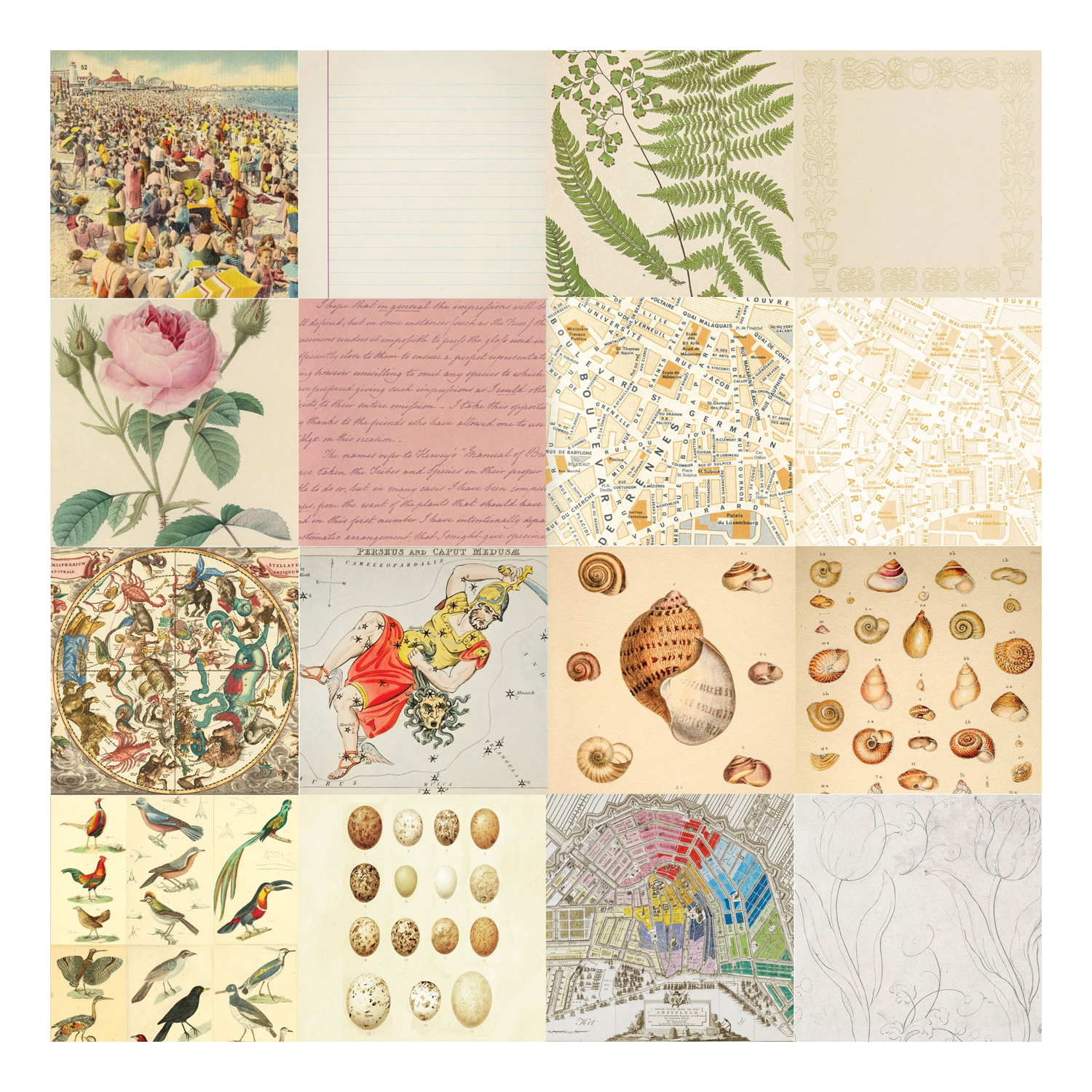 PTR Patterned Paper Pack - Ephemera