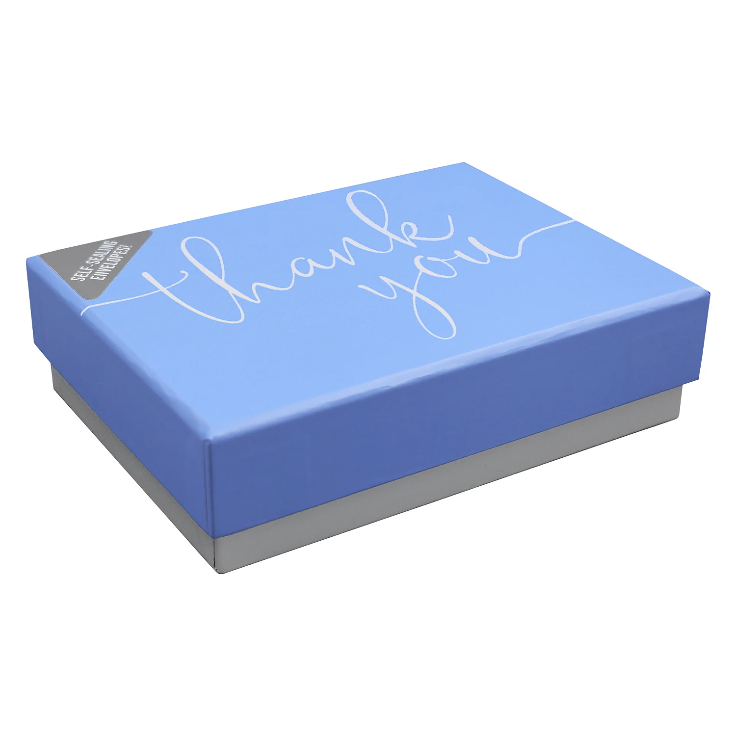PTR Periwinkle Thank You Notes