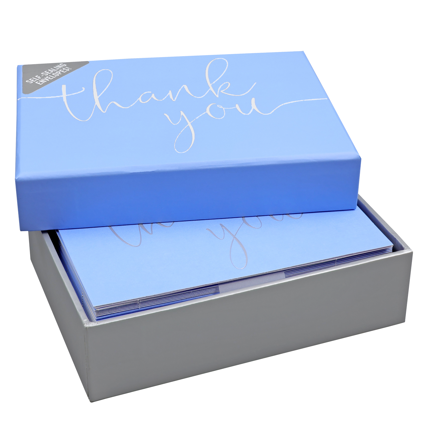 PTR Periwinkle Thank You Notes