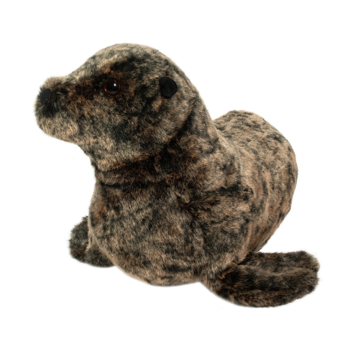Buoy Sea Lion
