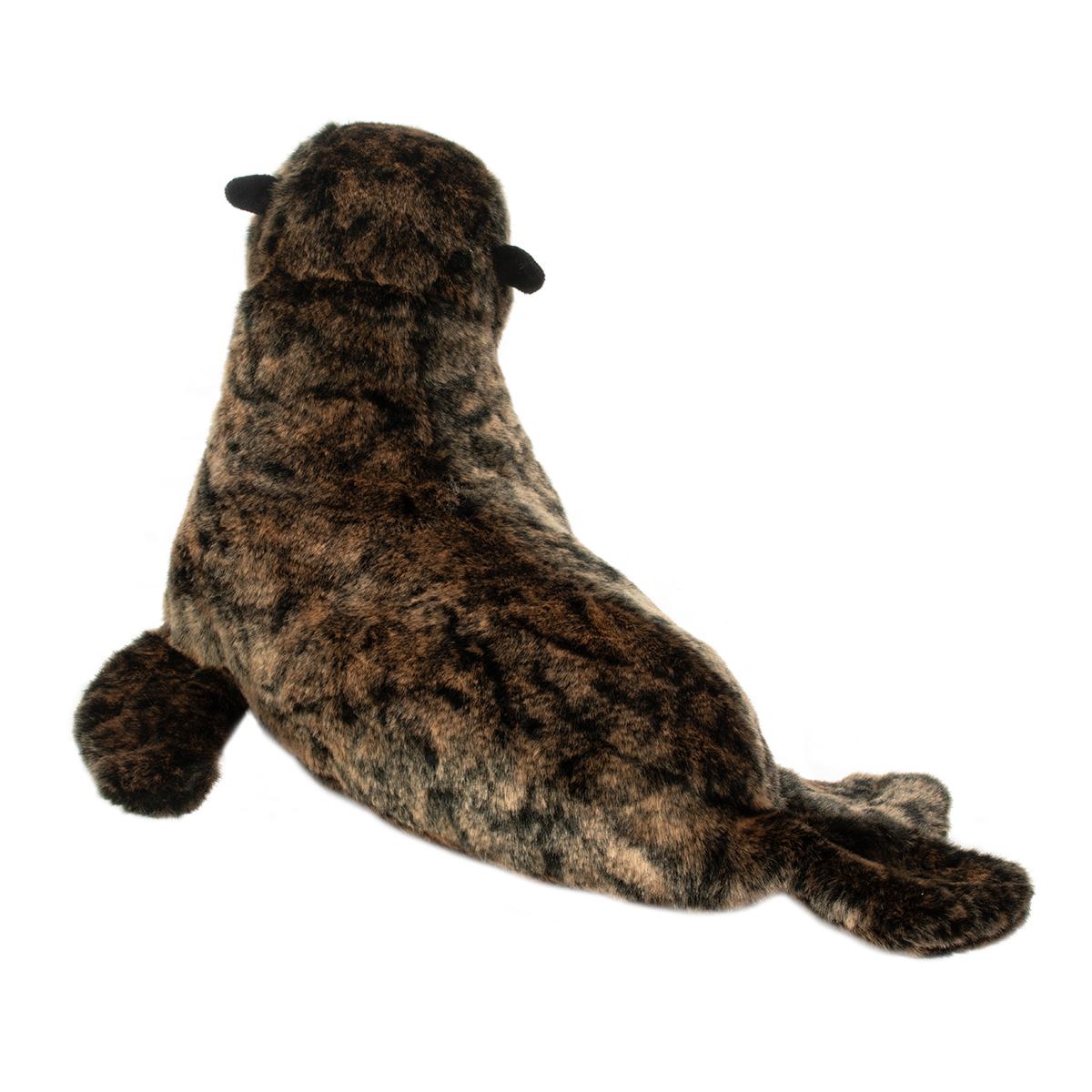 Buoy Sea Lion
