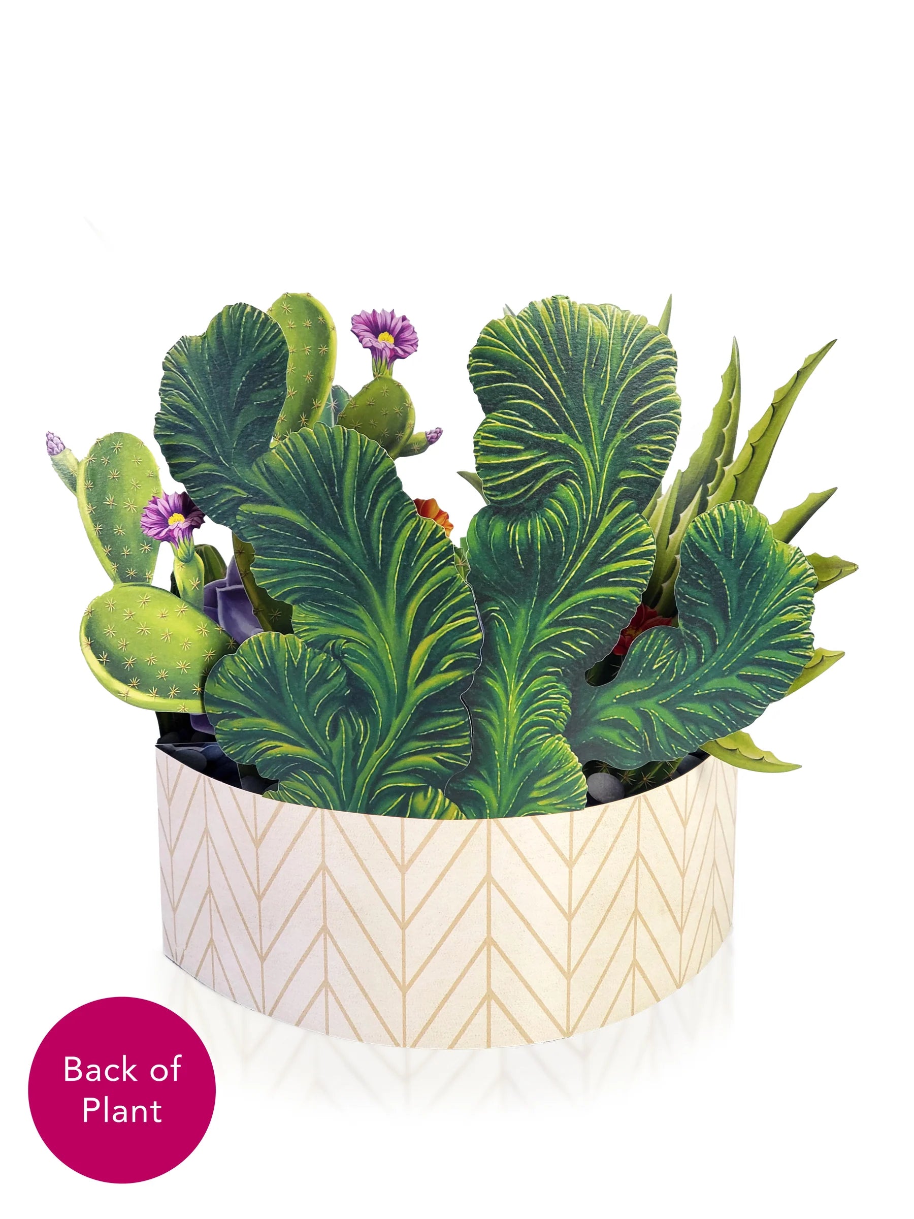 Cactus Garden Pop Up Flower Bouquet Greeting Card    